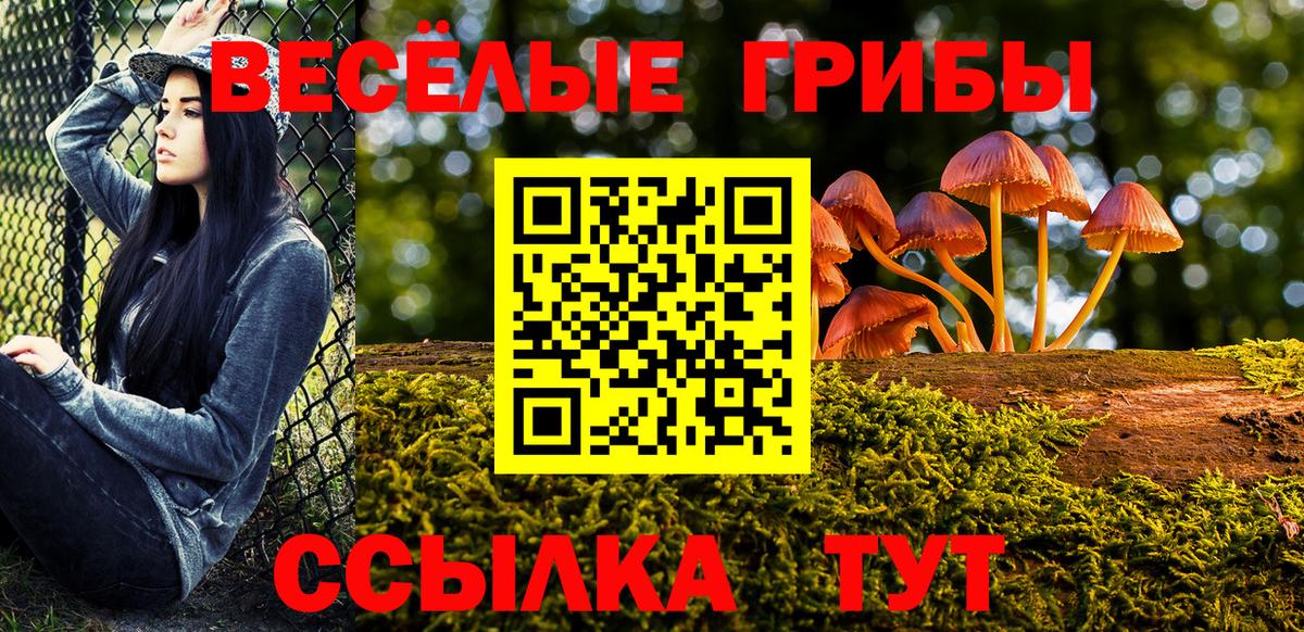 Бахчисарай  как найти наркотики  Вход с VPN  Псилоцибиновые грибы Psilocybe 