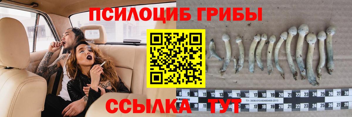 Галлюциногенные грибы Magic Shrooms Бахчисарай